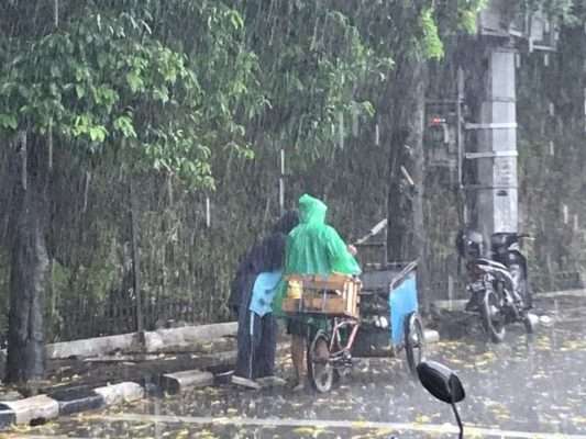 Menerjang Hujan, Jalankan Rutinitas – Dewan Mahasiswa Menerjang Hujan, Jalankan Rutinitas – Dewan Mahasiswa