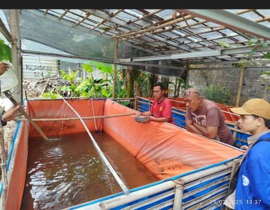 Investasi Lingkungan Hijau di Petukangan Selatan: Mahasiswa KKN Universitas Darunnajah dan RW 07 Bersinergi Dalam Pengelolaan Sampah Melalui Budidaya Maggot